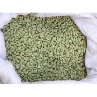 Alubia Verdina | Legumbre Fina y Gourmet de Calidad Saldaña (Palencia)